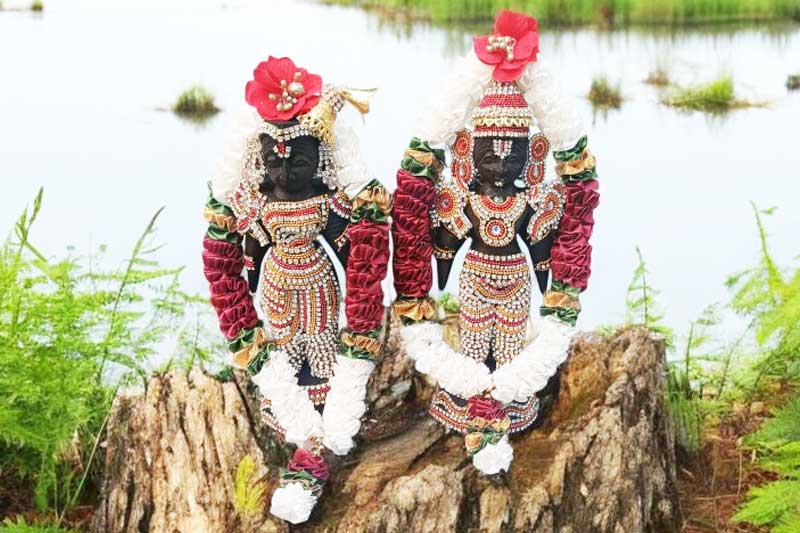 marapachi-doll-for-wedding-marriage-samantham-function-decoration-plated-chennai